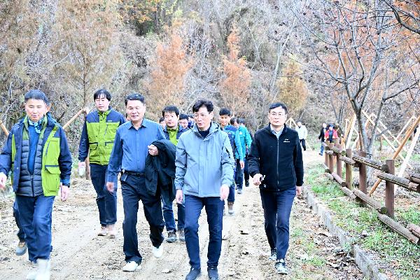 장수군, 전국 최장 10km 메타세쿼이아길 조성